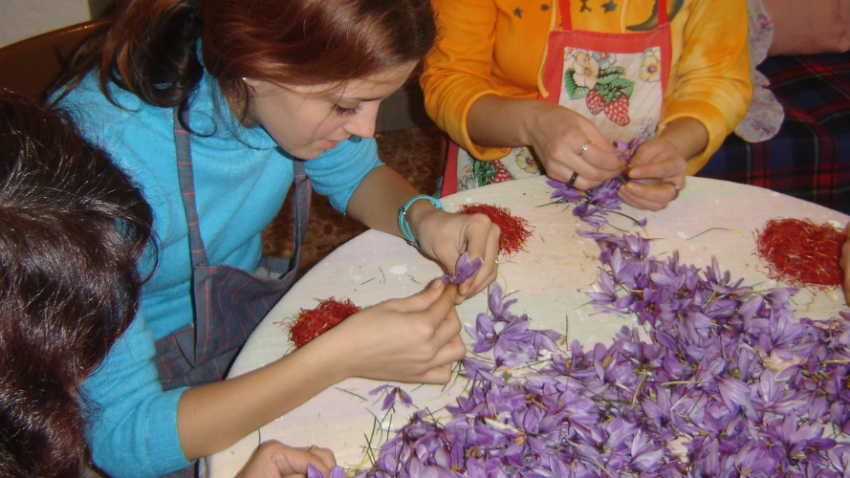 Azafrán de Teruel La Carrasca es finalista a la Mejor Experiencia Turística 2025
