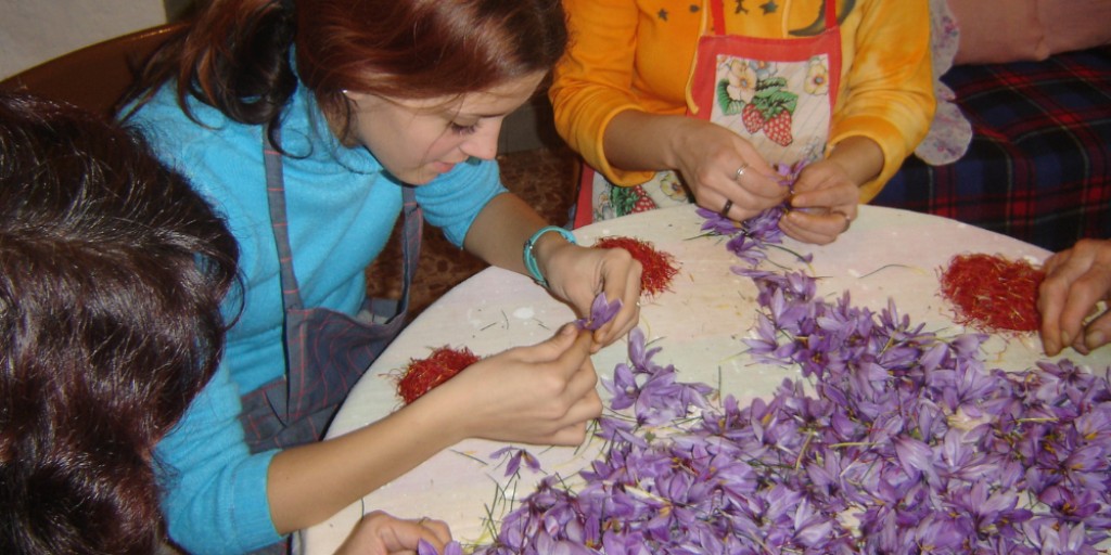 Azafrán de Teruel La Carrasca es finalista a la Mejor Experiencia Turística 2025