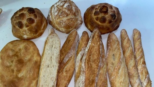 Divulgación del Proyecto FITE2019-2021 Valorización de cereales alternativos para uso panificable y su panadería en la provincia de Teruel. PAN DE TERUEL